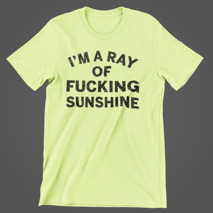 Sunshine - Urban Arteezi